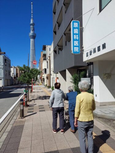 お散歩日和♫